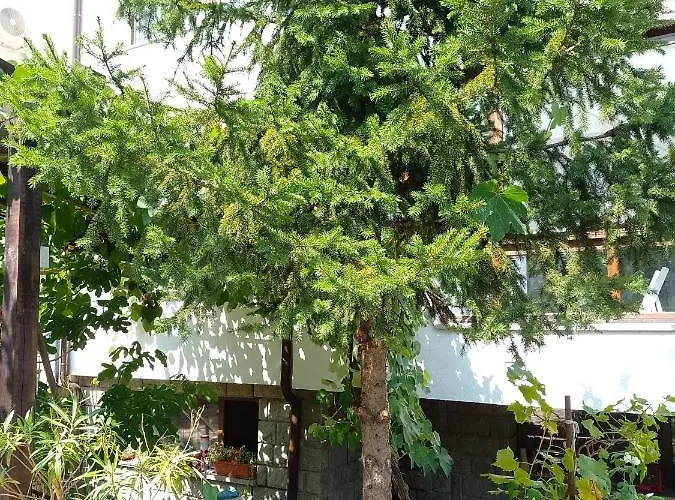 цвят бяло Lejlighed *