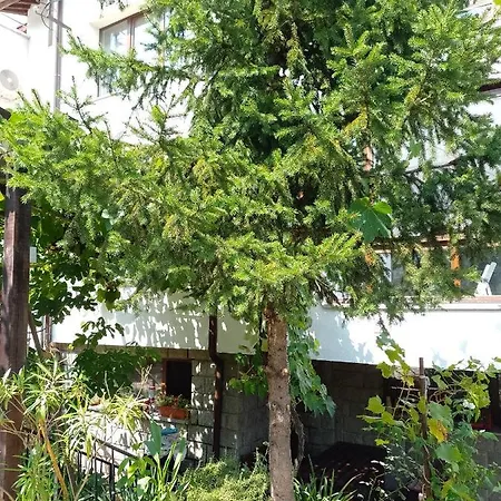 цвят бяло Apartament *