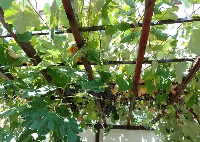 цвят бяло Апартаменты